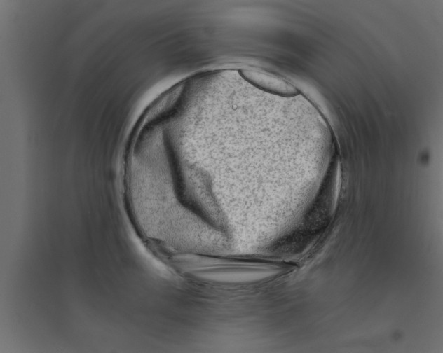 X0000094201003200711241633