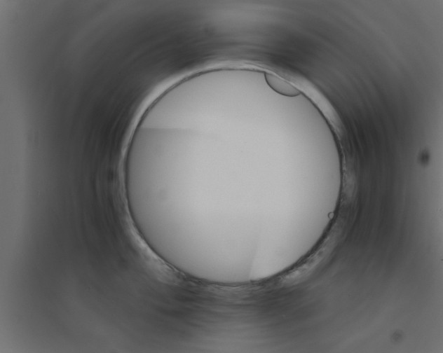 X0000094201004200711241633