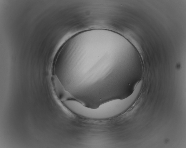 X0000094201005200711241633