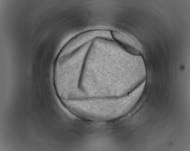 X0000094201006200711241633