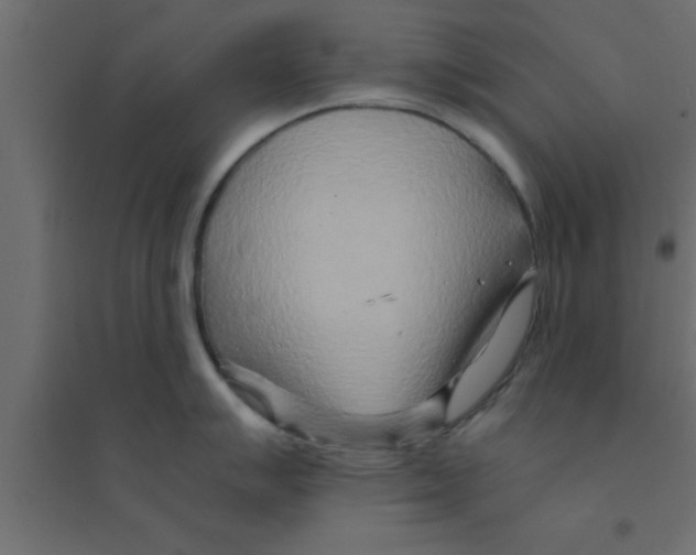 X0000094201007200711241633