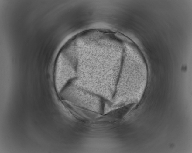X0000094201008200711241633