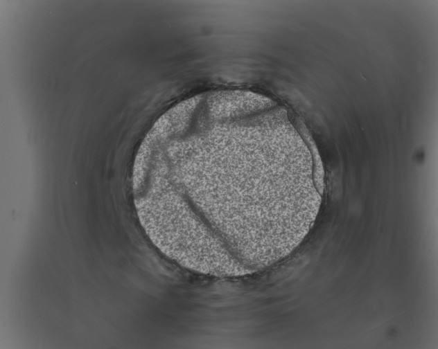 X0000094201009200711241632