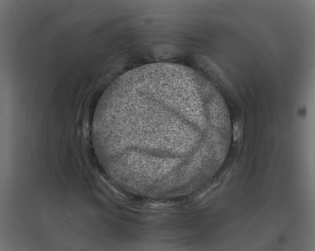 X0000094201011200711241632