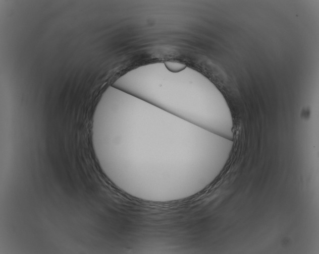 X0000094201012200711241632