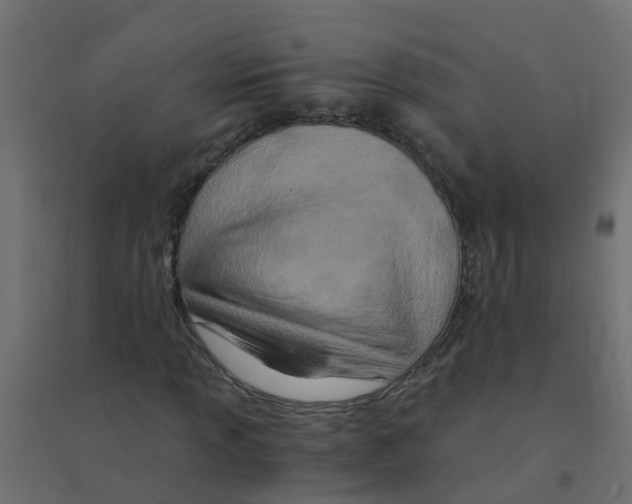 X0000094201013200711241632