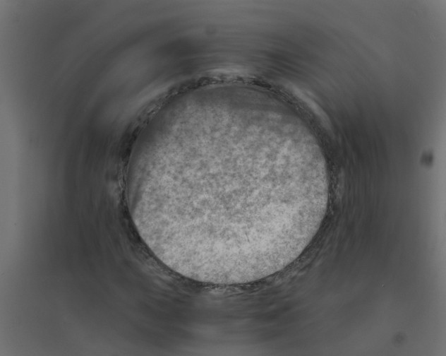 X0000094201015200711241632
