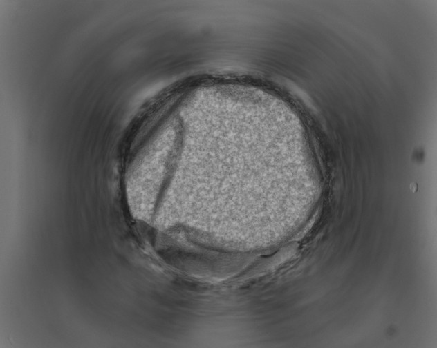 X0000094201016200711241632