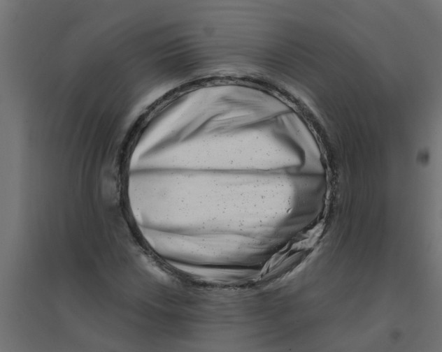 X0000094201018200711241632