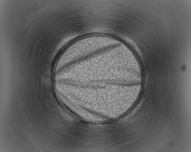 X0000094201019200711241632