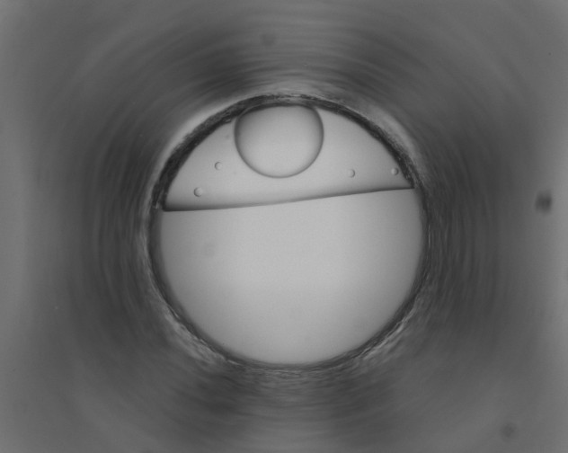 X0000094201020200711241632