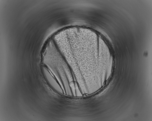 X0000094201021200711241632