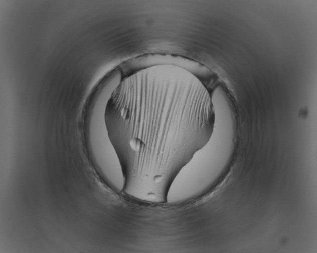 X0000094201022200711241632