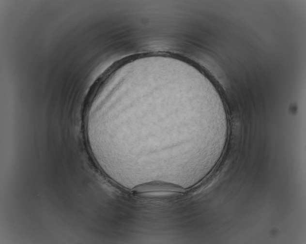 X0000094201023200711241632