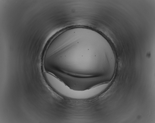 X0000094201024200711241632