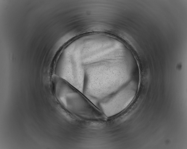 X0000094201026200711241632