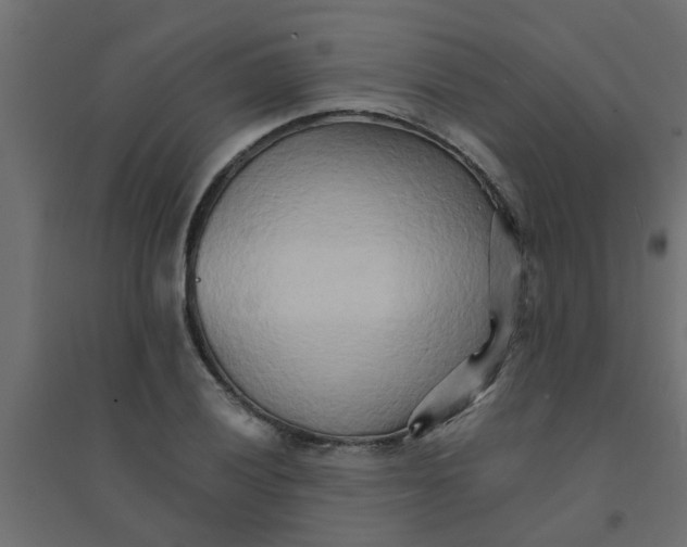 X0000094201028200711241633