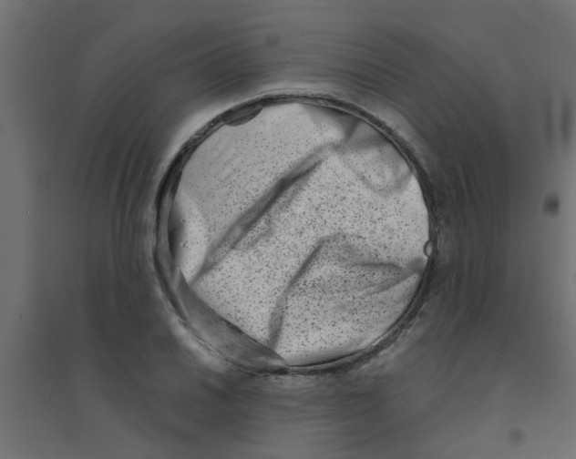 X0000094201030200711241633
