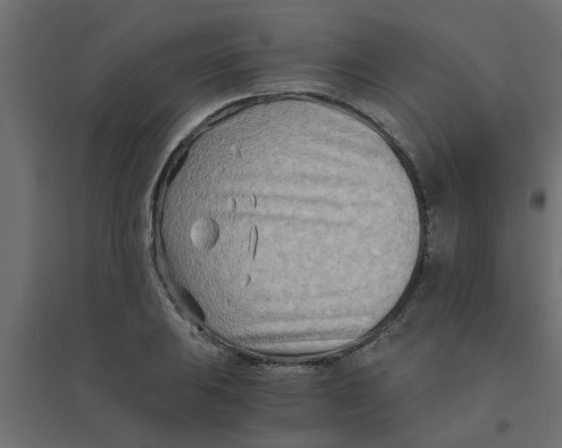 X0000094201031200711241633