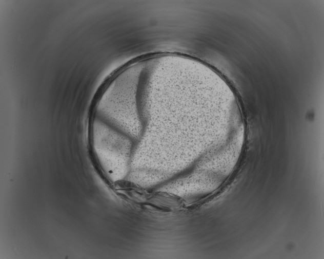 X0000094201032200711241633