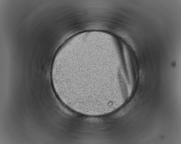X0000094201033200711241633