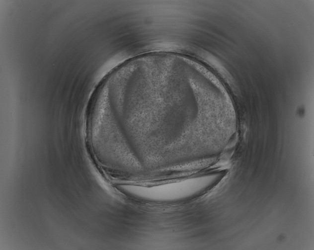 X0000094201034200711241633