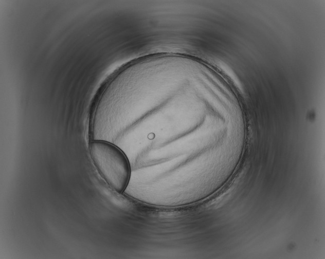 X0000094201035200711241633