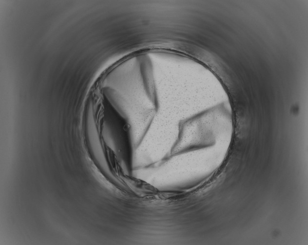 X0000094201036200711241633