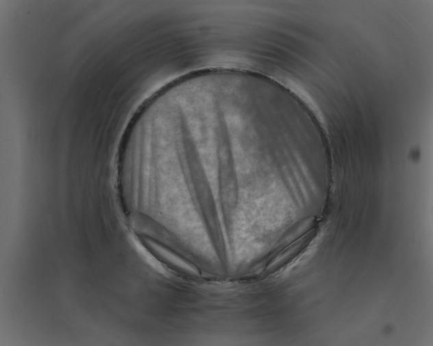 X0000094201037200711241633