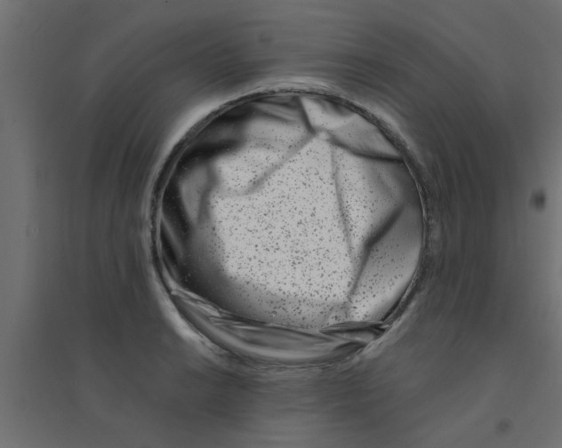 X0000094201038200711241633