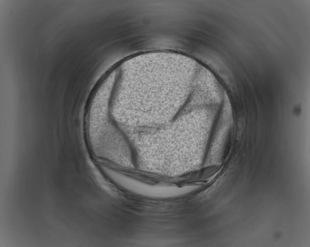 X0000094201039200711241633