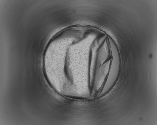 X0000094201040200711241633
