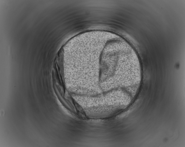 X0000094201041200711241633