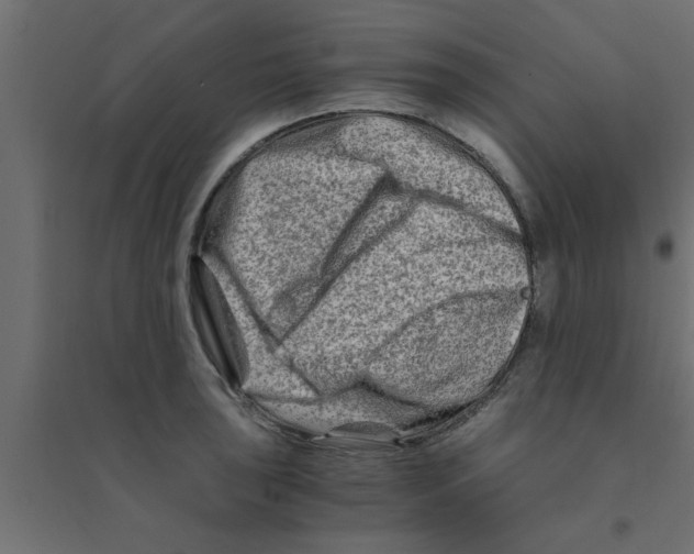 X0000094201043200711241633