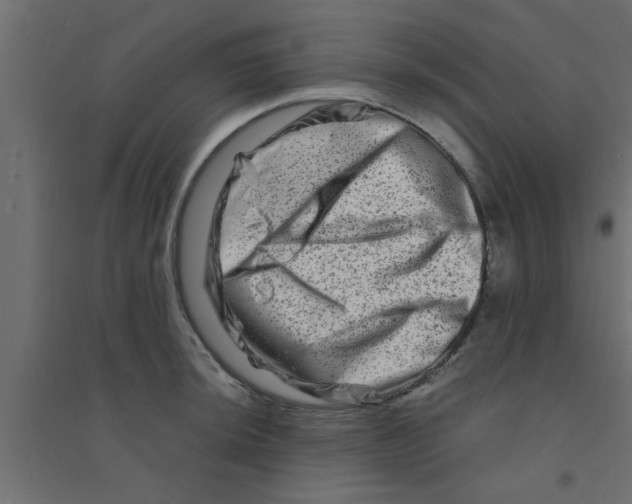 X0000094201044200711241633