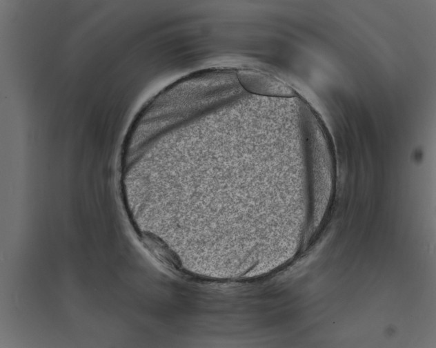 X0000094201045200711241633