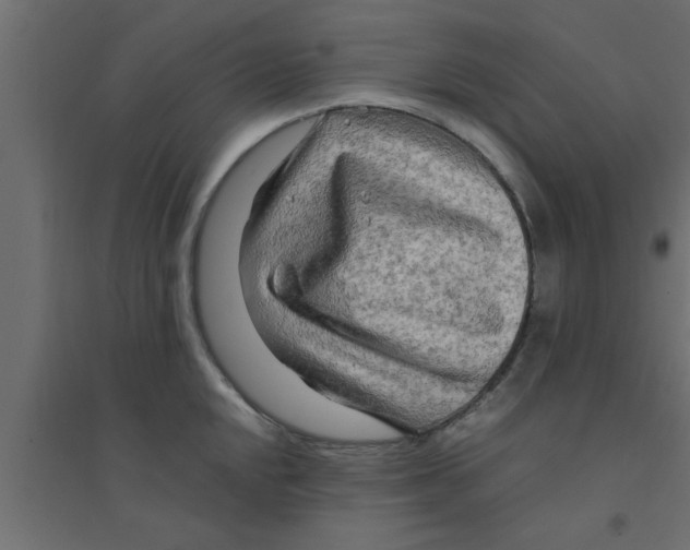 X0000094201048200711241633