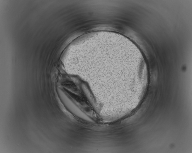 X0000094201049200711241633