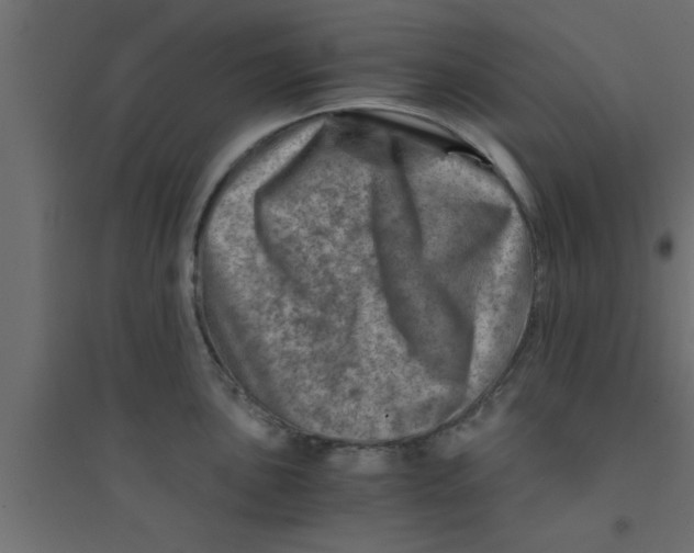 X0000094201051200711241633