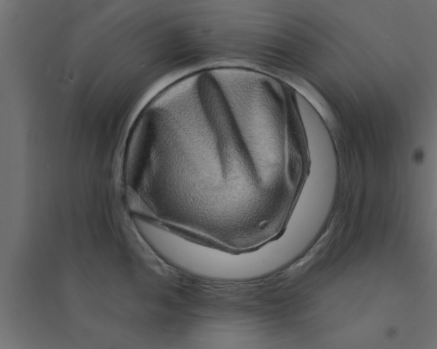 X0000094201052200711241633