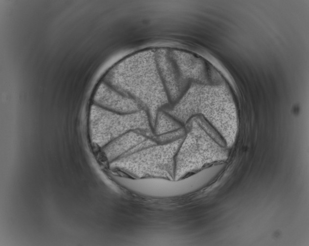 X0000094201053200711241633