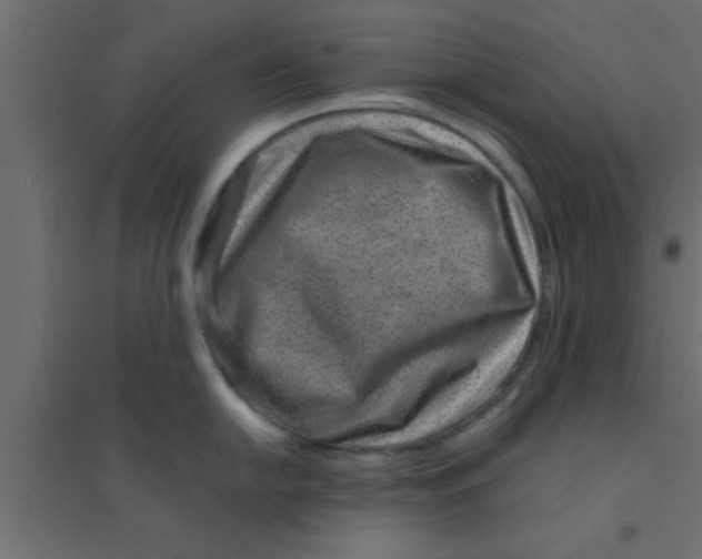 X0000094201054200711241633