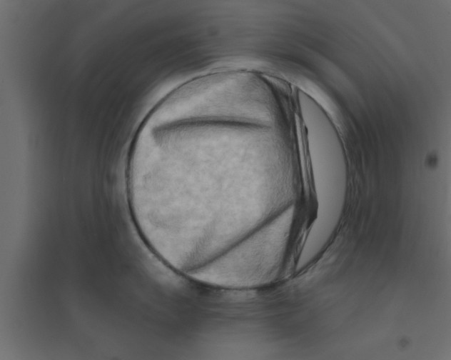 X0000094201055200711241633