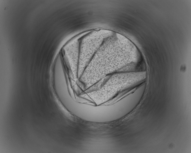 X0000094201056200711241633
