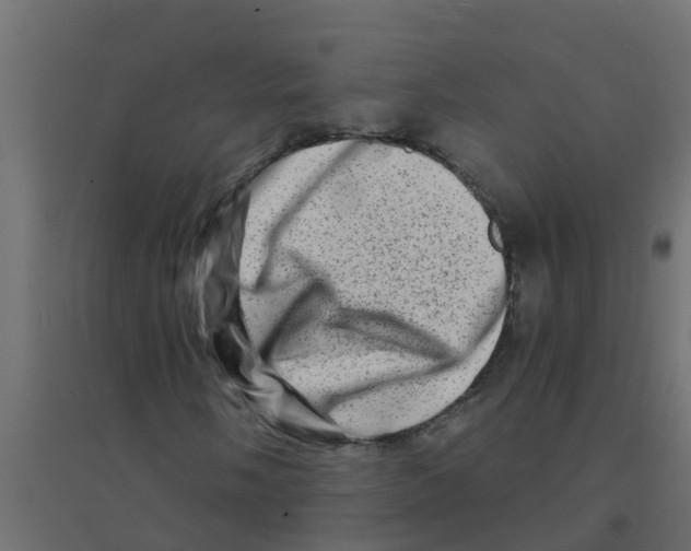 X0000094201058200711241632