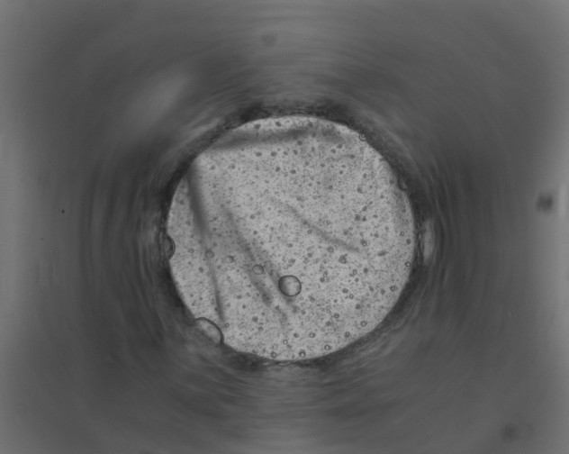 X0000094201059200711241632