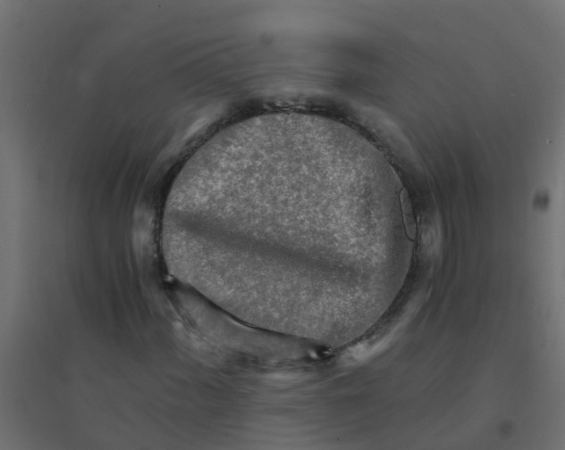 X0000094201060200711241632