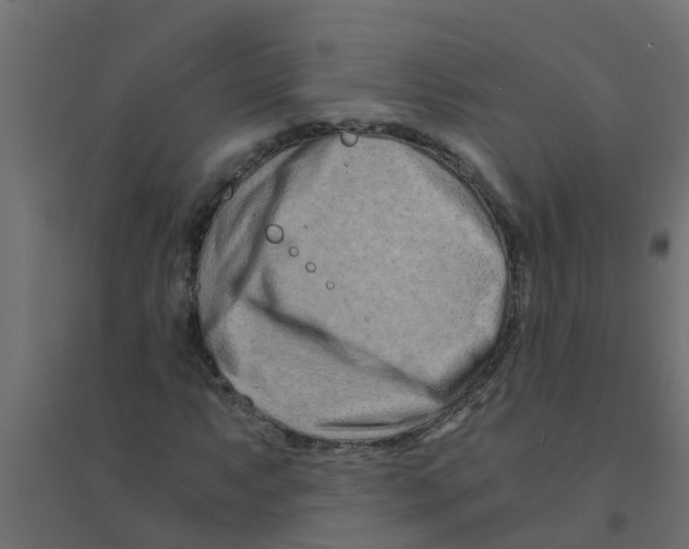X0000094201063200711241632
