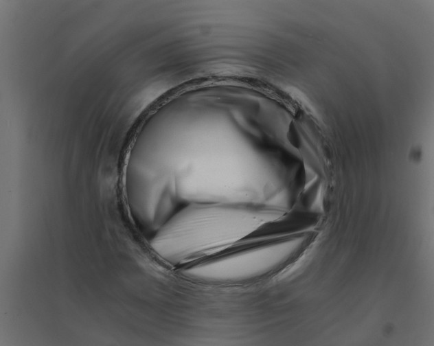 X0000094201065200711241632