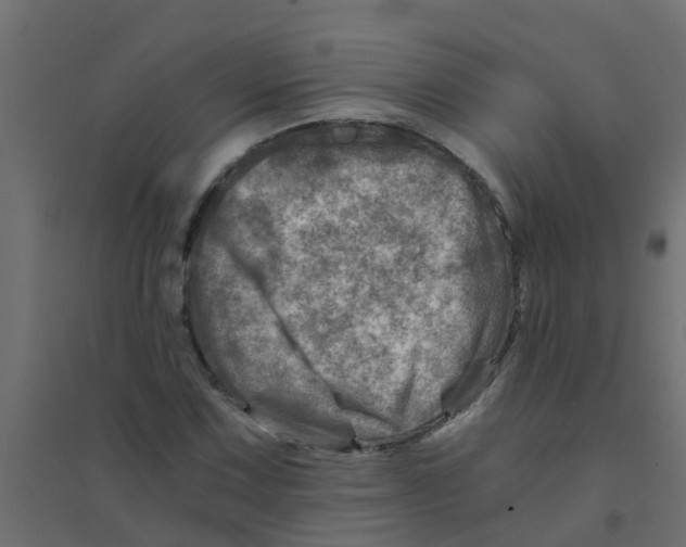 X0000094201067200711241632